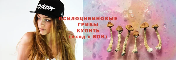 шишки Медвежьегорск