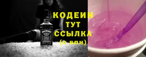 шишки Медвежьегорск