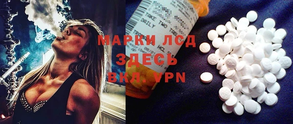 шишки Медвежьегорск