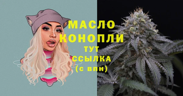 гидра Медногорск