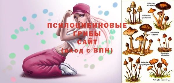 синтетический гашиш Мегион