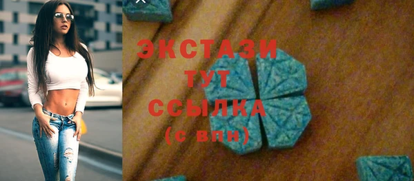 шишки Медвежьегорск