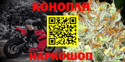 мяу мяу мука Гусиноозёрск