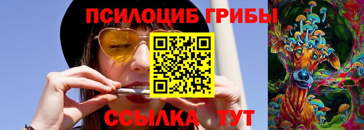Кумертау  Галлюциногенные грибы MAGIC MUSHROOMS  Вход с VPN  Псилоцибиновые грибы ЛСД 